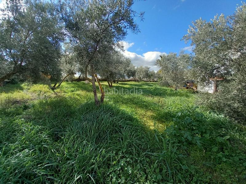 Foto bfbdb8a8-42cd-4d79-877c-a47127418eee. Masia amb piscina a Arriate