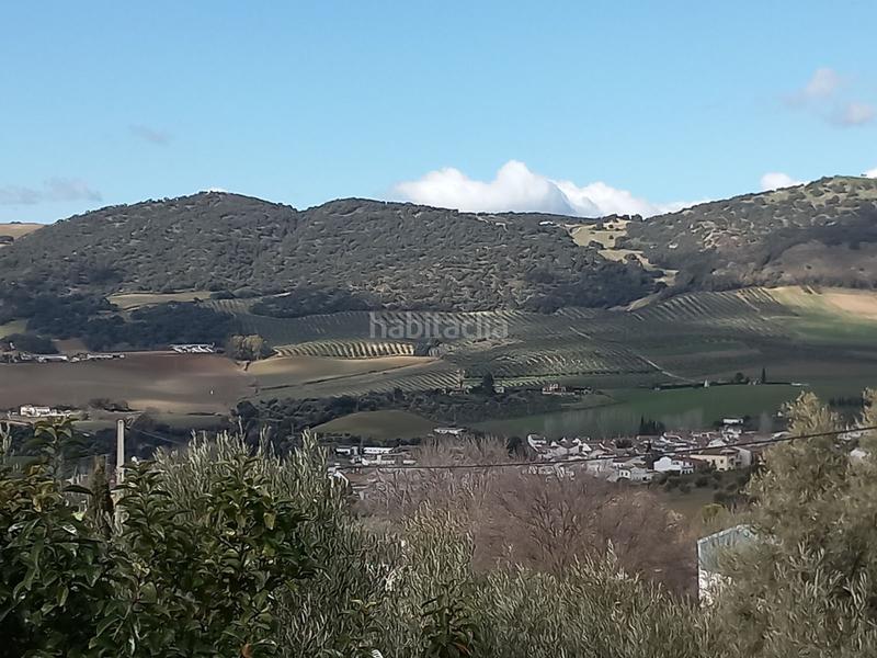 Foto c5a65020-819f-4f4c-978c-a906033d6aa8. Masia amb piscina a Arriate