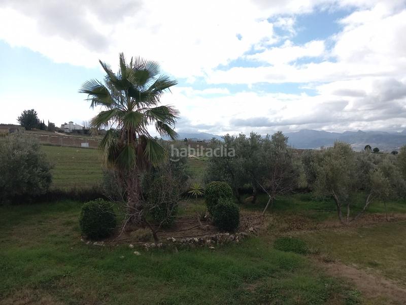 Foto e0cc73e6-1b69-4d65-b7b2-ce212f205bc2. Masia amb piscina a Arriate