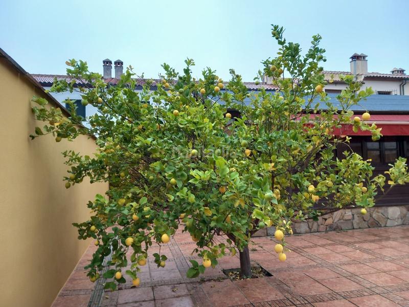 Foto 42607e75-cda4-41d7-ac33-df1fd6f85499. Casa chalet independiente en La Planilla Ronda