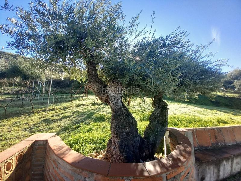 Foto 1494afb3-9002-4a4b-88c0-878047d8175a. Mas avec chauffage dans Partidas Norte Ronda