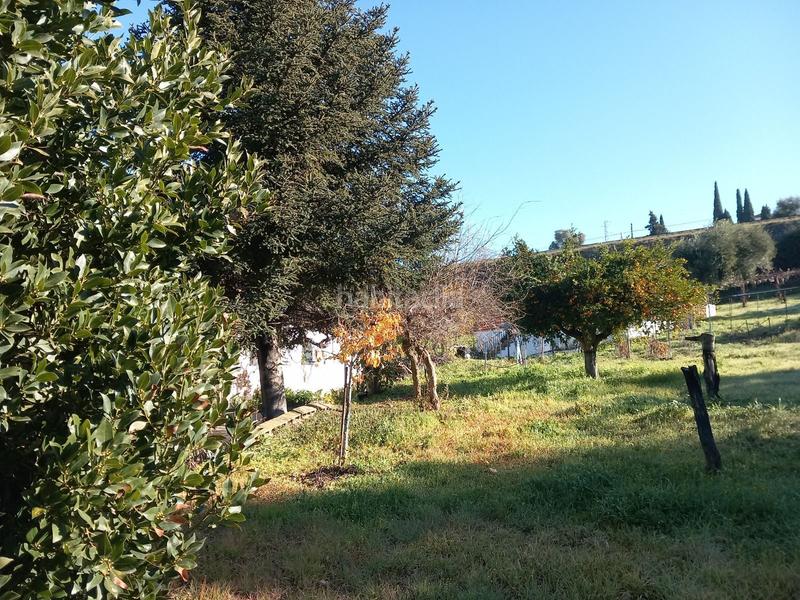 Foto 52bf67a5-b85e-4600-a802-92e788302b6e. Mas avec chauffage dans Partidas Norte Ronda