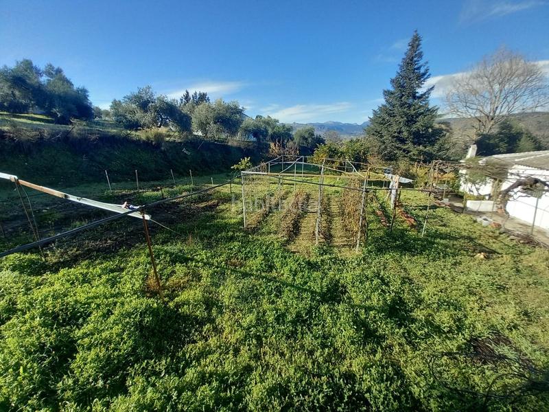 Foto bb29c0c2-221e-4a77-a561-468a652616b6. Mas avec chauffage dans Partidas Norte Ronda