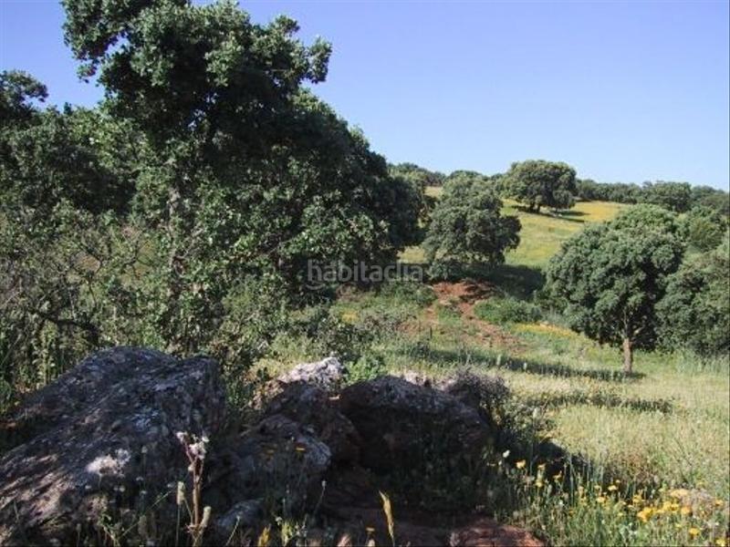 Foto 4fb17609-7121-4812-af30-cb630138ae46. Finca rústica finca rustica en Partidas Norte Ronda