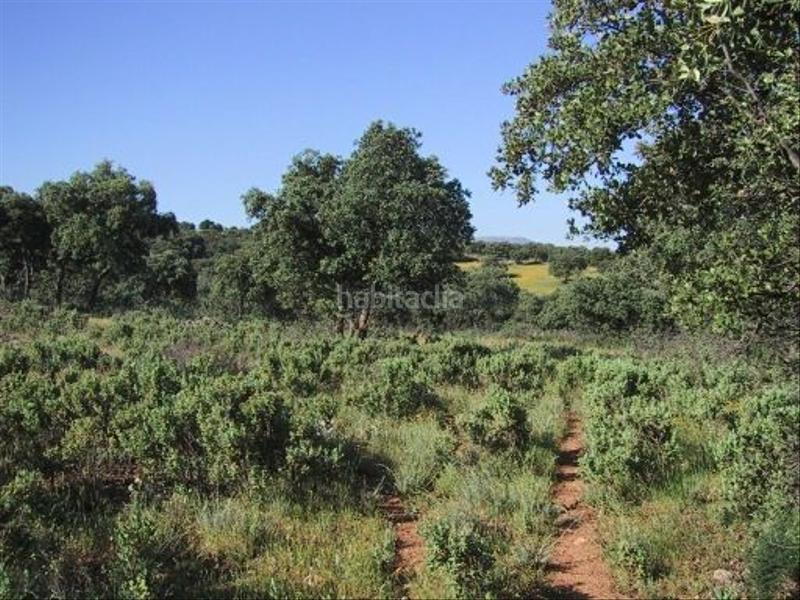 Foto 53ff8716-c2ce-4a8d-84e7-ca87dd6eb8a4. Finca rústica finca rustica en Partidas Norte Ronda