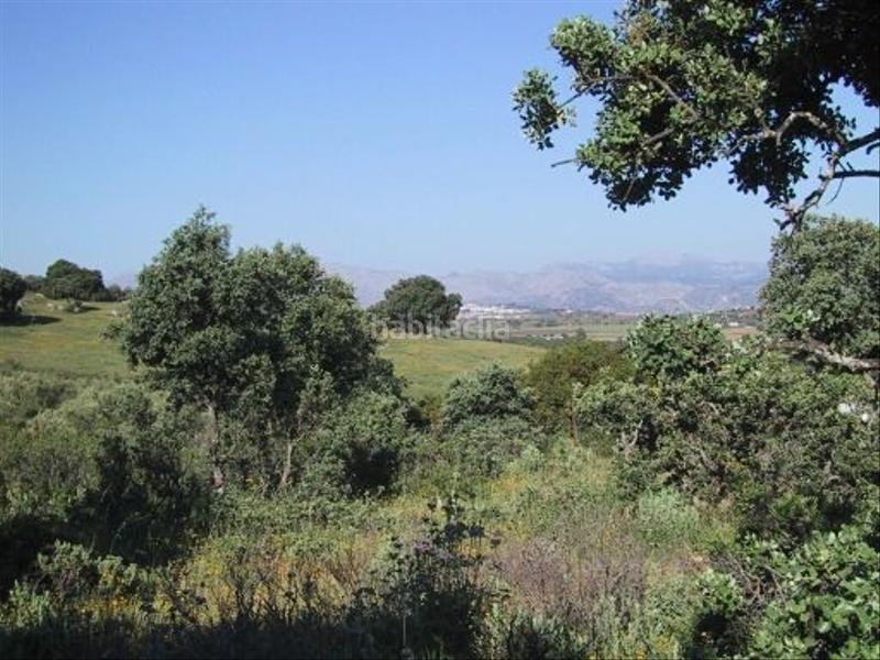 Foto 55349ce6-9416-482e-86b5-9943befd9c62. Finca rústica finca rustica en Partidas Norte Ronda