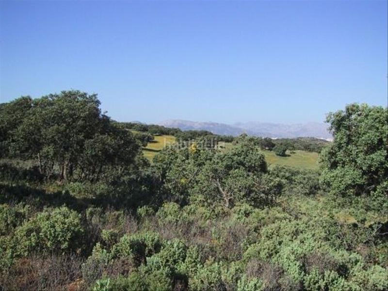 Foto b0af0d90-4929-4814-9a94-7948434246f1. Finca rústica finca rustica en Partidas Norte Ronda