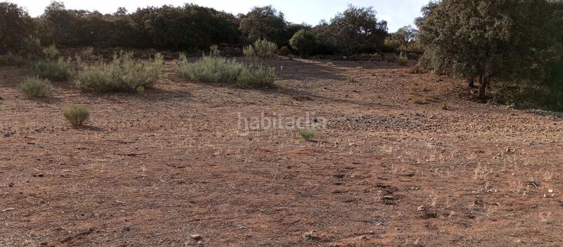 Foto b1772702-d280-4215-9ef0-3475861e3d1b. Finca rústica finca rustica en Partidas Norte Ronda