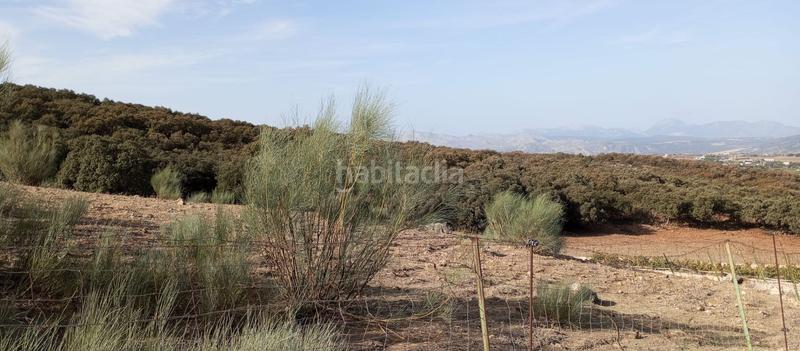 Foto dd086604-8a36-4bd0-8780-4c8049e1b858. Finca rústica finca rustica en Partidas Norte Ronda