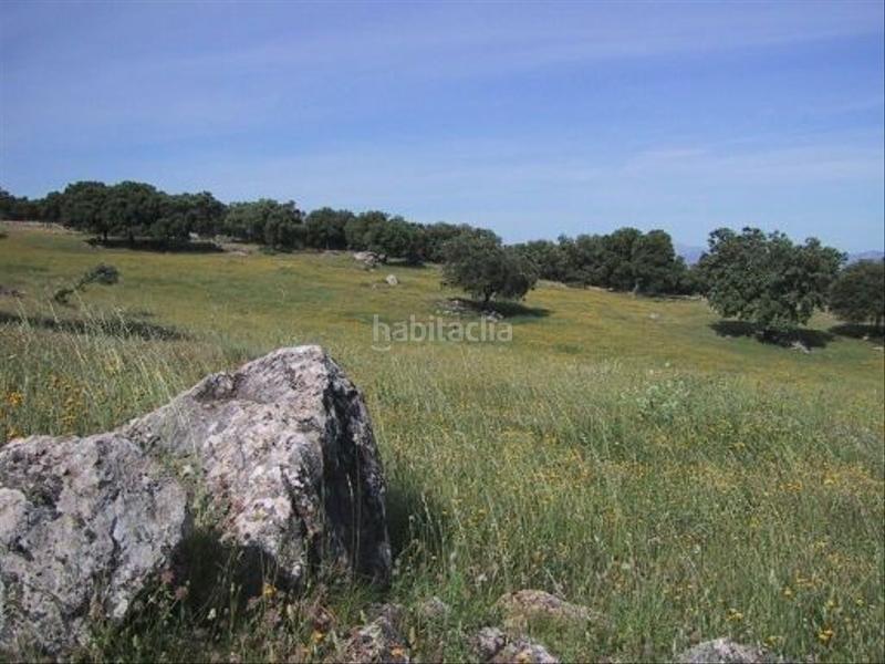 Foto e642bc7a-9eb6-4d9d-b79e-77a8cf471e18. Finca rústica finca rustica en Partidas Norte Ronda