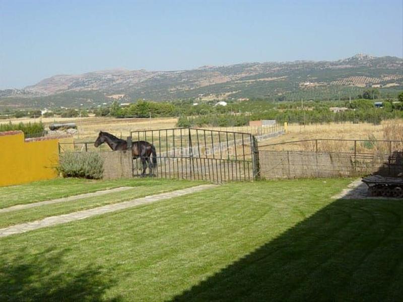 Foto 31217dfc-5840-43e3-8e3f-419600bad726. Finca rústica  en alrededores en Partidas Norte Ronda