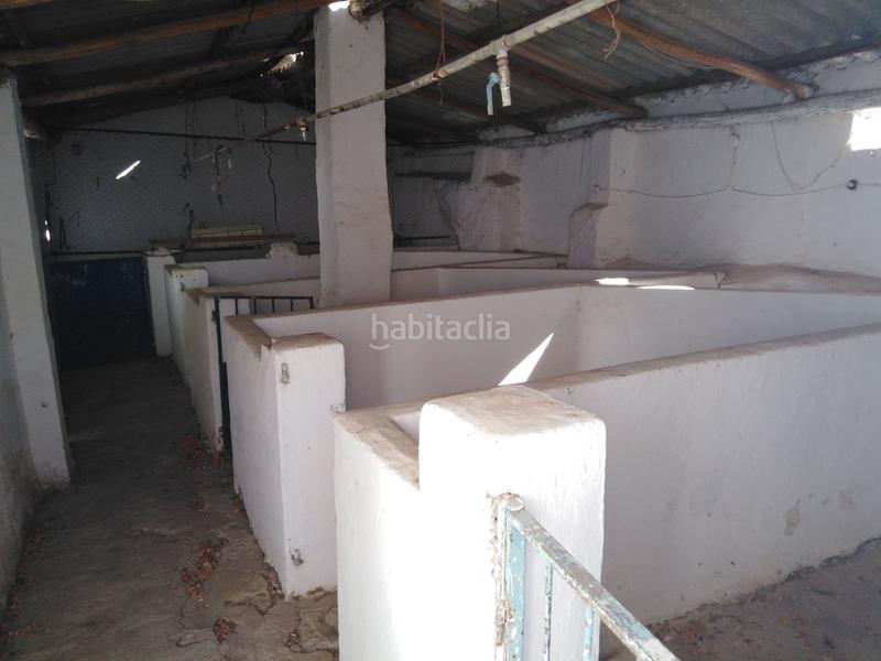 Foto 05c02cb3-f5ef-46ce-84fe-ae7d7e430fe1. Casale in Partidas Norte Ronda