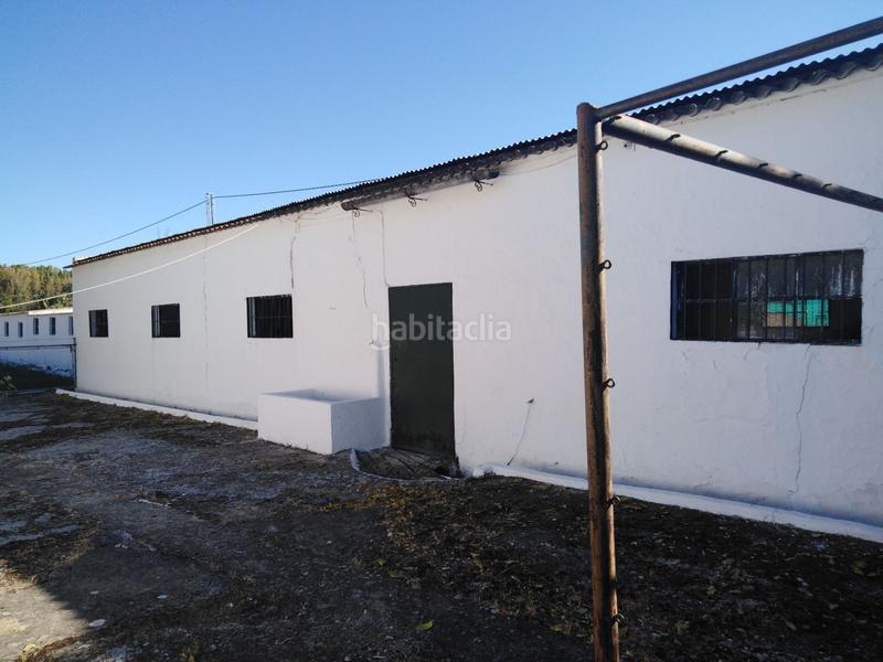 Foto 4313be29-328c-4a6b-b1f1-593e00fbc8f9. Casale in Partidas Norte Ronda