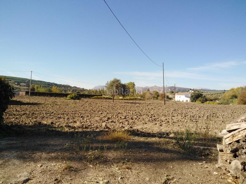 Foto 7211cb8e-6841-41e8-a5ab-554453b4d778. Casale in Partidas Norte Ronda