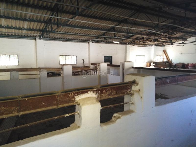 Foto 97a31d99-ecf5-4001-82cc-f690870a939f. Casale in Partidas Norte Ronda