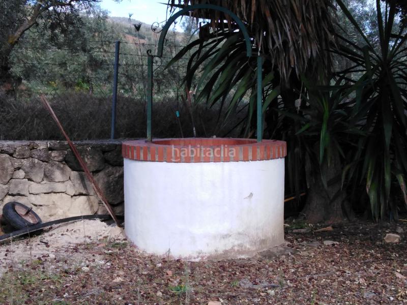 Foto 25ce566e-c9ee-46cf-b128-65ab164bf665. Bauernhof mit heizung pool in Partidas Norte Ronda