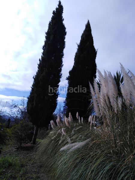 Foto 40560484-7abd-4506-8b1b-38a3da5b7a74. Bauernhof mit heizung pool in Partidas Norte Ronda