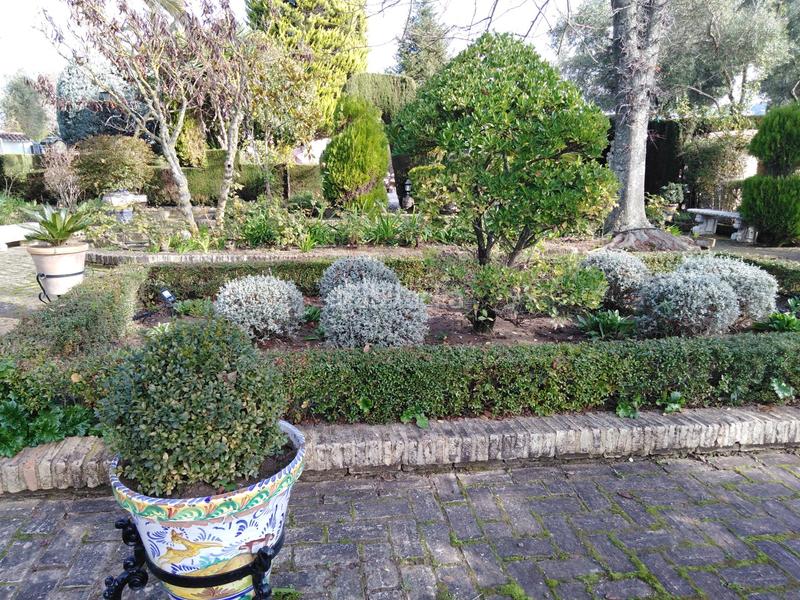 Foto 83ff7dca-bb28-48f4-a24f-9e422dff046e. Bauernhof mit heizung pool in Partidas Norte Ronda