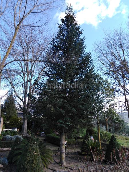 Foto a5860cf5-78f9-43ec-be6e-12341bfa0fcb. Bauernhof mit heizung pool in Partidas Norte Ronda