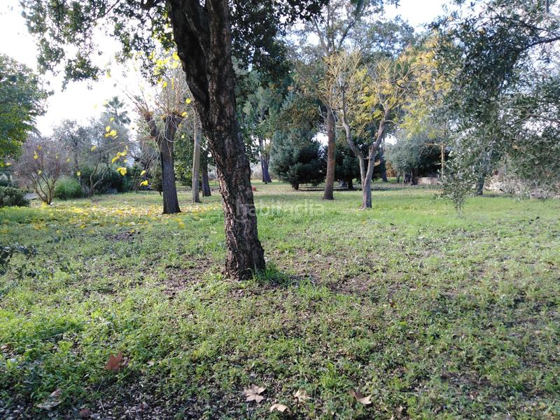 Foto a66263fc-8b09-4fd6-aef2-086c38b5625c. Bauernhof mit heizung pool in Partidas Norte Ronda