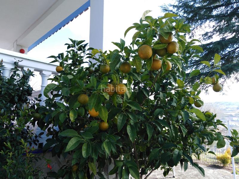 Foto bc498727-8e9a-4a0b-8520-b61973445a17. Bauernhof mit heizung pool in Partidas Norte Ronda