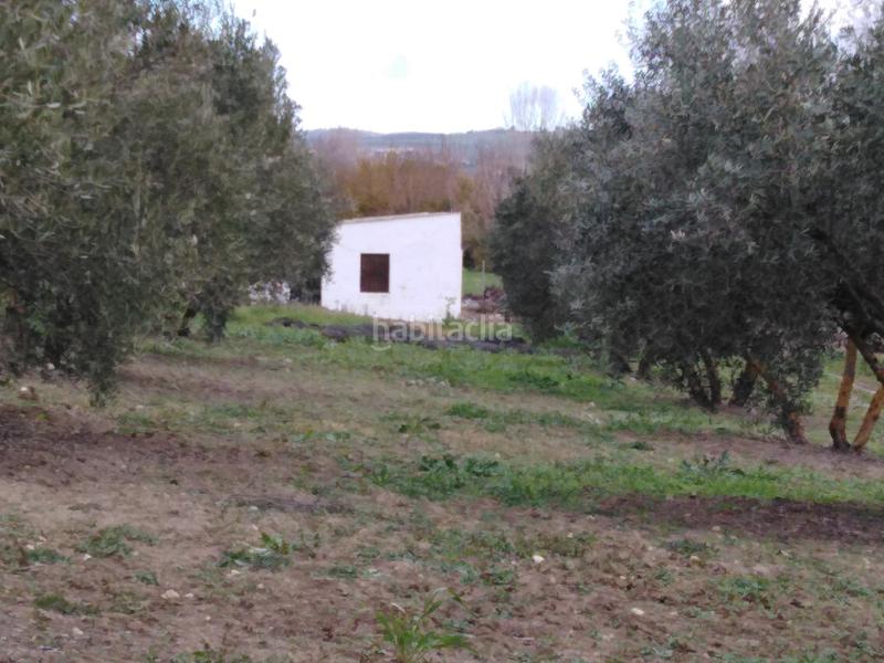 Foto d8f82e90-bc4c-414e-b4c9-a2568e5d90ac. Bauernhof mit heizung pool in Partidas Norte Ronda