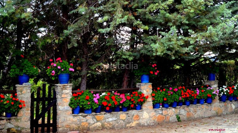 Foto 9ab9cd5d-ab3c-4547-a76b-f149b9aca084. Masia amb calefacció piscina a Arriate