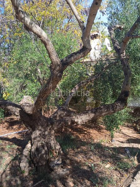 Foto 35270eda-670b-4d08-b861-e3e55b997632. Masia amb piscina a Partidas Norte Ronda