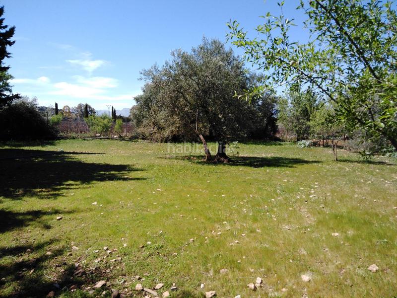 Foto 6eb56026-7d4a-4b7e-b830-4c2605f514ce. Masia amb piscina a Partidas Norte Ronda