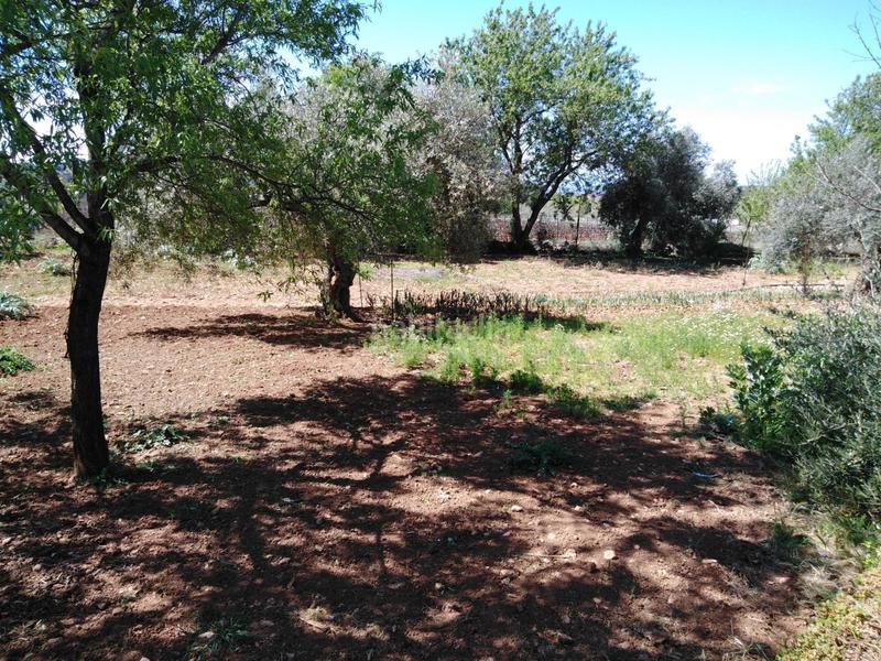 Foto eda2b410-bd13-4a43-b758-0e559685fc11. Masia amb piscina a Partidas Norte Ronda