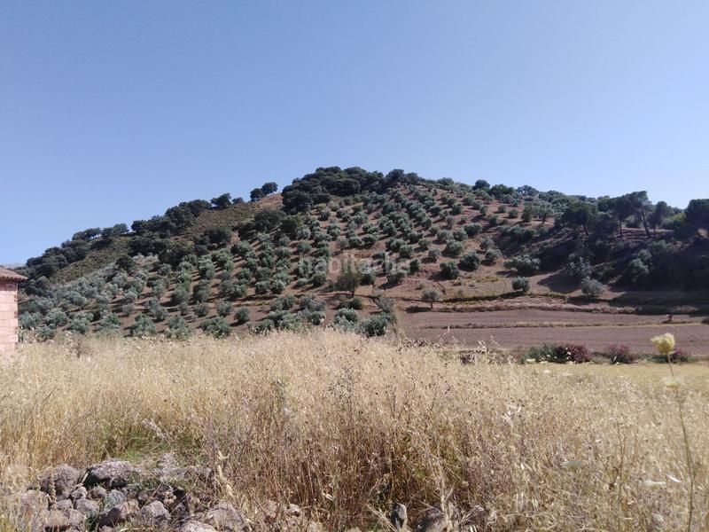 Foto 7cceb6de-af74-4025-a9e8-6457a0c7b758. Country house in Partidas Sur Ronda