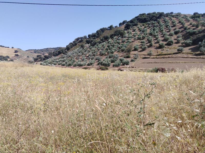 Foto a2fb7853-b47b-4fb3-a5a0-55737116fd75. Country house in Partidas Sur Ronda