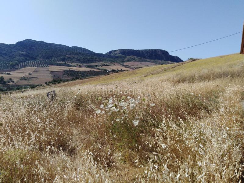 Foto c521e0a0-1ebf-4528-9f17-79561e71bf71. Country house in Partidas Sur Ronda