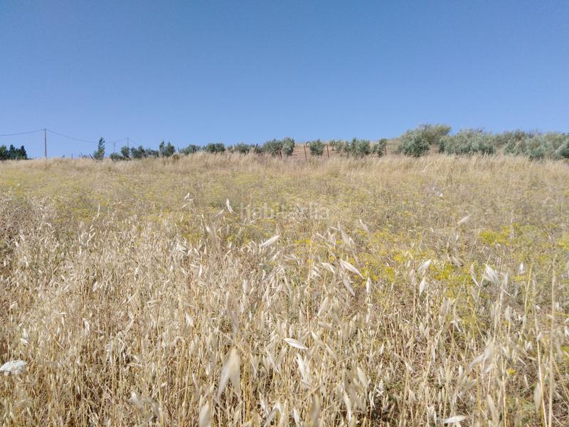 Foto c70369a3-3a9d-4a92-867c-c18837c85f21. Country house in Partidas Sur Ronda