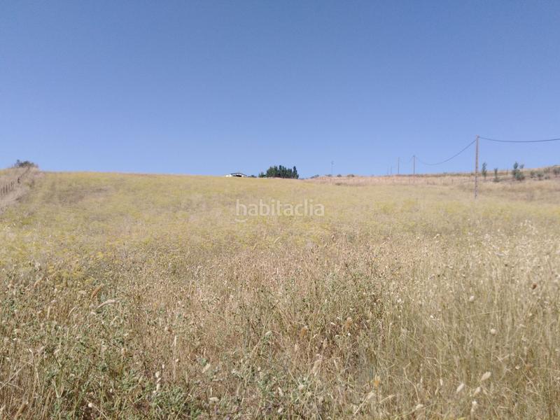 Foto d1b61796-5c7f-4819-a1f1-584d34bba520. Country house in Partidas Sur Ronda