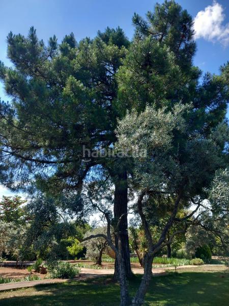 Foto 3819ae21-df1d-4b25-af23-8369e5fc7d45. Masia amb piscina a Arriate