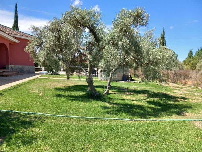 Foto 49dad981-d164-4dfc-b6a6-fa406b23d691. Masia amb piscina a Arriate