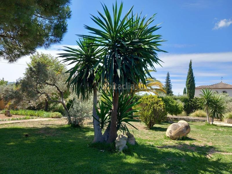 Foto 589baec7-977a-4351-8b72-1feff8944734. Masia amb piscina a Arriate