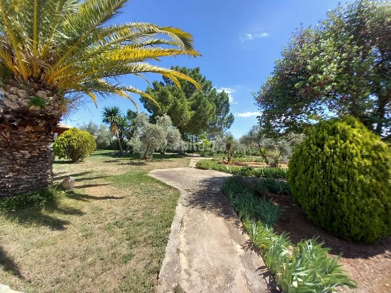 Foto 74dc8efd-3aad-40a5-bdf0-8120eb7d4ed4. Masia amb piscina a Arriate