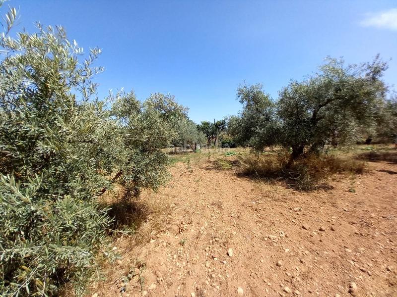 Foto 9d2f39da-b5a0-4ecb-bfb1-55c1e319f640. Masia amb piscina a Arriate