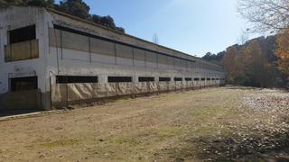 Rent Industrial building in Arriate. Nave agricola en arriate