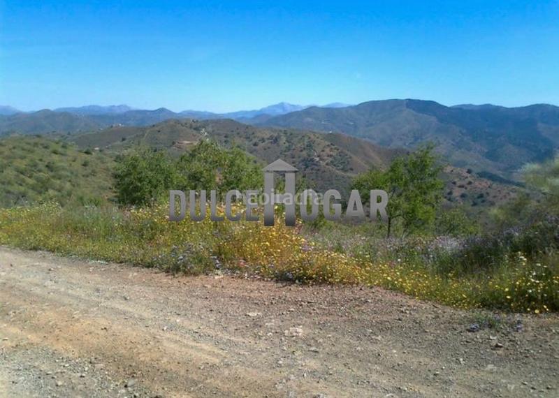 Foto 0f924b1a-349d-4f67-9762-0be6556eb67e. Country house in El Cortijuelo Málaga