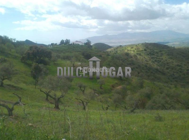 Foto 5bda7ddf-262a-4470-b07d-2724f107b68f. Country house in El Cortijuelo Málaga