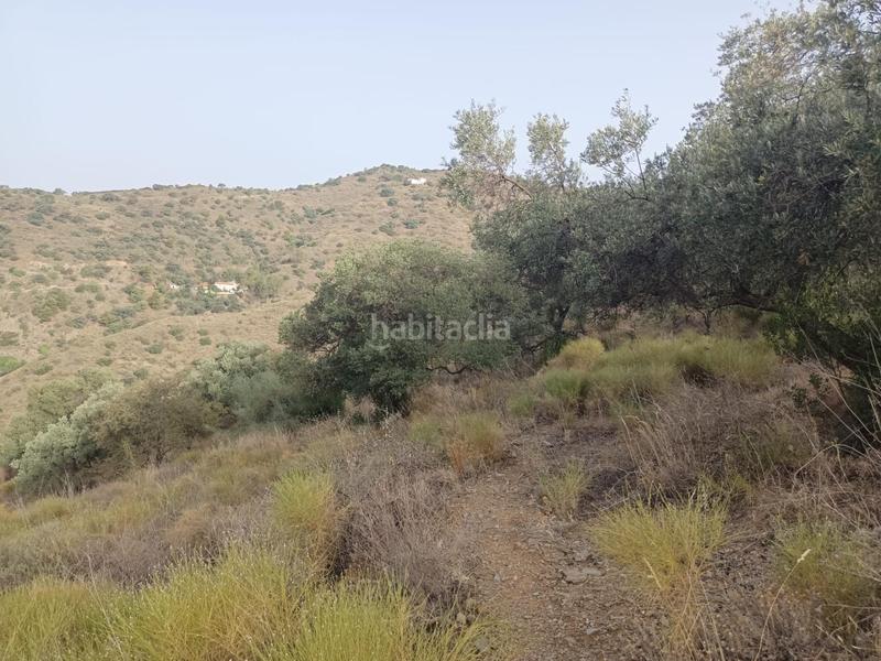 Foto 1621d064-b532-42a1-a0ab-d9d0da30936e. Fondo rustico in Olías Málaga