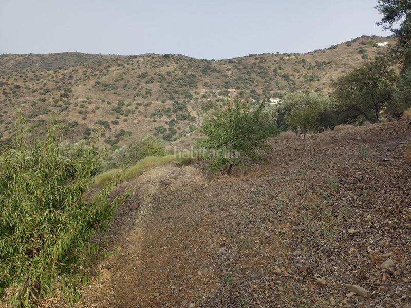 Foto f1d9d199-8a0a-4302-bdb7-bd0d5cf5e093. Fondo rustico in Olías Málaga