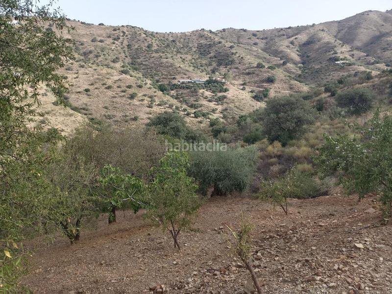 Foto f3ee278c-df32-41ba-8a08-54827cb21a7f. Fondo rustico in Olías Málaga