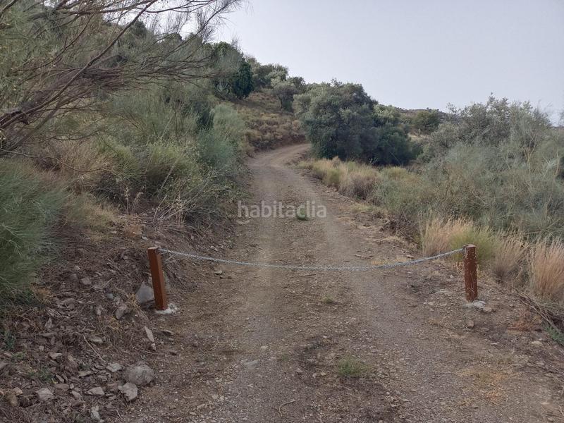 Foto f62c2918-4a4b-43ba-8752-138cb082734a. Fondo rustico in Olías Málaga