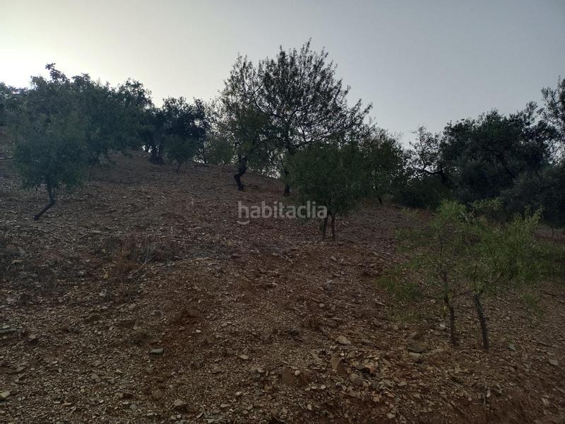 Foto 047b1237-68b9-4986-ad83-c6348f1ab39a. Propriété dans Centro Histórico Málaga