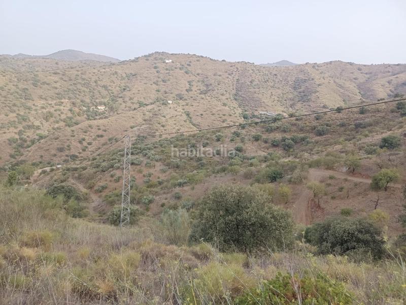 Foto 05937748-f04a-43ee-8a30-b178520690d4. Propriété dans Centro Histórico Málaga