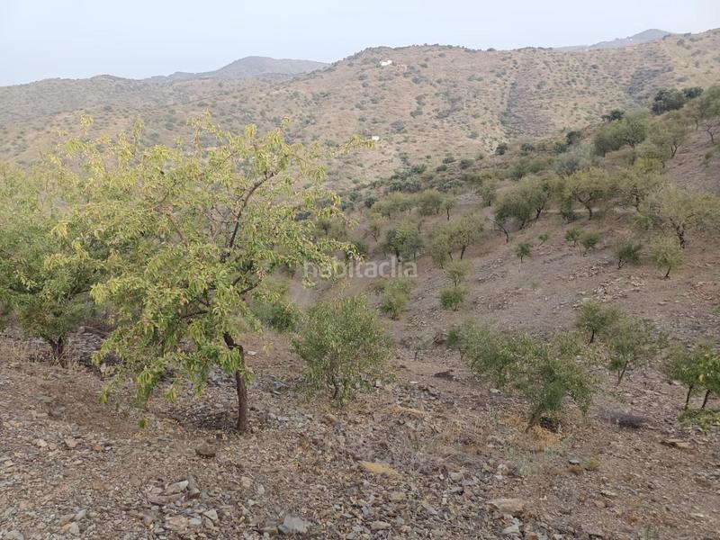 Foto 07339af4-f222-44d4-a125-39d25a0f1492. Propriété dans Centro Histórico Málaga